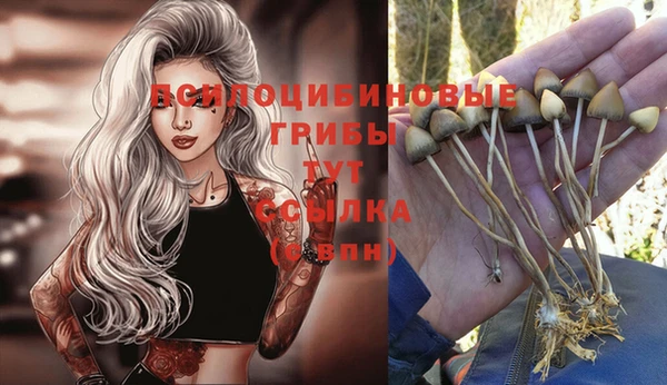 a pvp Арсеньев