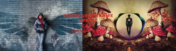 a pvp Арсеньев